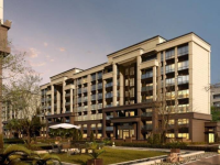 城投置地梧桐栖