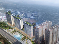 幸福东方白桦林