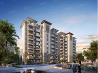 碧桂园原树缇香