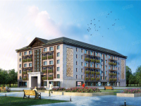 大年初一五号公馆