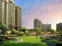 观澜湖中央公园区