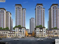 鸿通公园1988天著