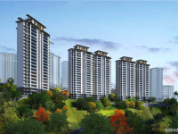 双龙镇云和春天